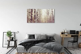 Obraz plexi Stromy 125x50 cm