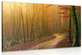 Obraz cestička do lesa Varianta: 90x60