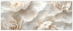 Obraz - Jemné pivonky (120x50 cm)
