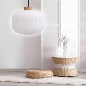 Toolight Toolight, stropné svietidlo zo skla 1xE27, biela, OSW-04412