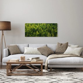 Obraz - Hustý les (120x50 cm)