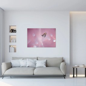 Obraz - Motýľ (90x60 cm)