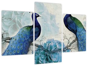 Obraz - Pávy s textúrami (90x60 cm)