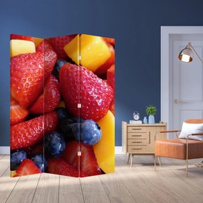 Paraván - Ovocie (126x170 cm)