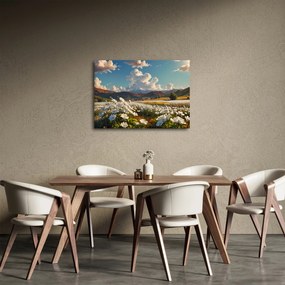 Obraz - Pokojná krajina (70x50 cm)