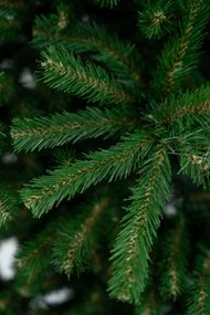 Limpol Smrek Natura 2,20 m