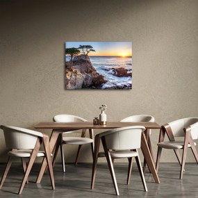 Obraz - Pacifické pobrežie (70x50 cm)