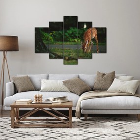 Obraz srnky (150x105 cm)