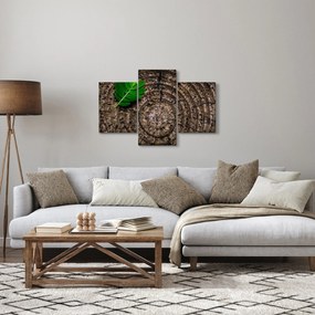 Obraz listu na kmeni stromu (90x60 cm)