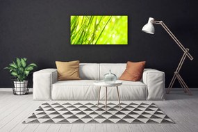 Obraz Canvas Príroda kvapky tráva 120x60 cm