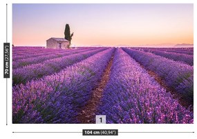 Fototapeta Vliesová Provence levandule 250x104 cm