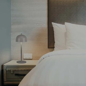 LED stmievateľná dobíjacia stolná lampa LED/1W/5V 3000-6000K 1800 mAh sivá