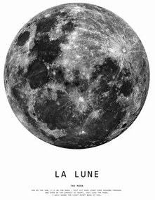 Plagát, Obraz - Finlay & Noa - Moon 1, (40 x 60 cm)