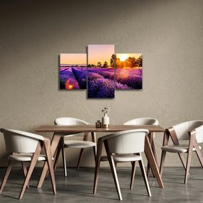 Obraz levanduľového poľa (90x60 cm)