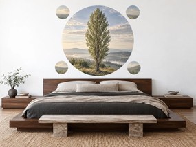 Štíhly topoľ v rannej krajine elegantné okrúhle textilné nálepky na stenu do spálne hárok 46 x 46 cm