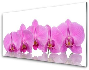 Sklenený obklad Do kuchyne Ružová orchidea kvety 140x70 cm
