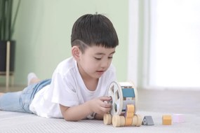 Viga Drevená hračka na ťahanie a tlačenie - ježko