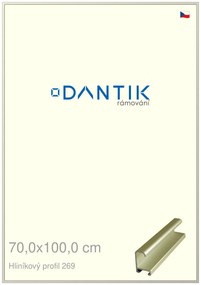 DANTIK rám na obraz 70x100 | ALU zlatá matná (Plexi Čiré)