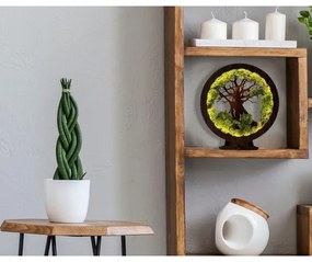 Li-Go 23631/DUB2 - LED Stmievateľná stolová dekorácia LED/12W/230V 30x31 cm dub