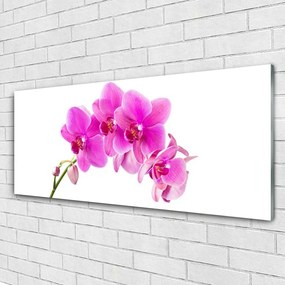 Obraz plexi Vstavač kvet orchidea 125x50 cm