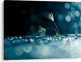 Obraz - Makro (70x50 cm)