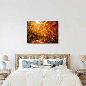 Obraz jesenného lesa (70x50 cm)