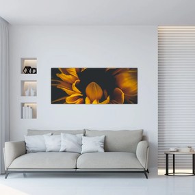 Obraz - Slnečnica v čiernom pozadí (120x50 cm)