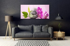 Obraz plexi Orchidea vstavač kamene 120x60 cm