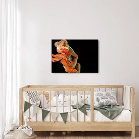 Obraz chameleóna na vetve (70x50 cm)