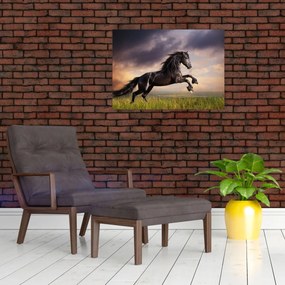 Obraz - Kone (70x50 cm)