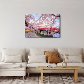 Obraz - Hirosaki, Japonsko (90x60 cm)