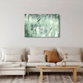 Obraz - Zelená lúka (90x60 cm)