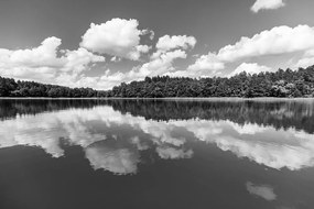 Fototapeta čiernobiele jazero v lete - 375x250