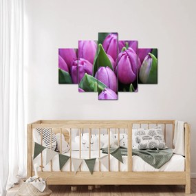 Obraz - kvety tulipánov (150x105 cm)