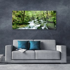 Obraz plexi Les potok vodopády rieka 125x50 cm
