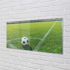 Obraz plexi Futbalový štadión trávy 140x70 cm