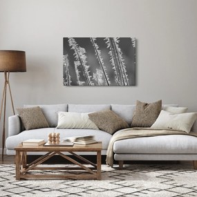 Obraz - Mrazivá zima (90x60 cm)