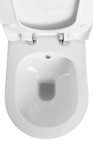 Sapho Sapho, AVVA CLEANWASH závesná WC misa s bidet. spŕškou, Rimless, 35,5x53cm, biela, 100312
