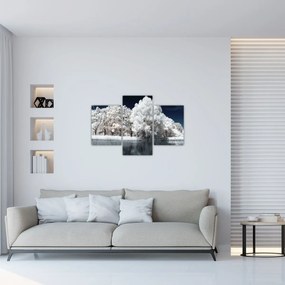 Obraz - Snehobiele stromy (90x60 cm)