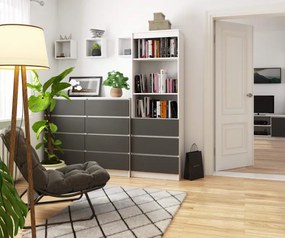 Regál R60 3SZ 2P CLP biely / sivý