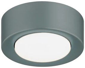 Argon 8917 - Stropné svietidlo ELORA 1xGX53/7W/230V Ø 11 cm sivé