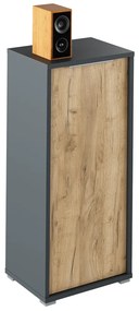 Skrinka, grafit/dub artisan, RIOMA NEW TYP 10