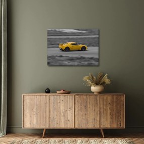 Obraz - Rýchle auto (70x50 cm)