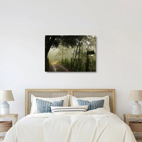 Obraz rannej hmly (70x50 cm)