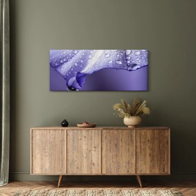 Obraz - Okvetný lístok s kvapkami (120x50 cm)