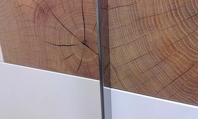 Šatníková skriňa Capri, dub wotan/biela