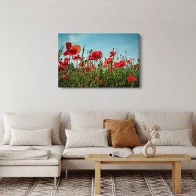 Obraz - Na poli vlčích makov (90x60 cm)