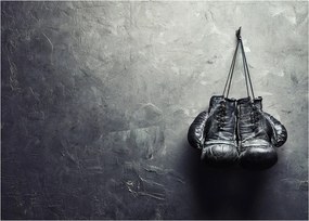 Obraz boxerských rukavíc (70x50 cm)