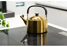 Varná kanvica z nehrdzavejúcej ocele v zlatej farbe 1,5 l Diamante – Vialli Design