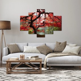 Obraz červeného japonského javora, Portland, Oregon (150x105 cm)